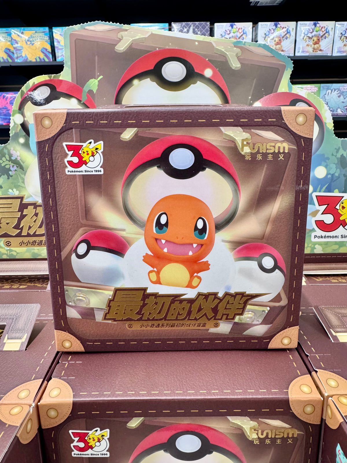 30th First Partner Suitcase