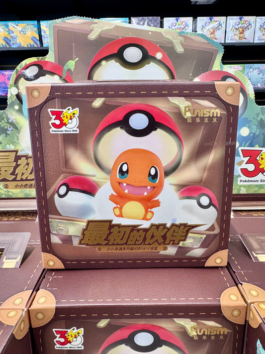 30th First Partner Suitcase